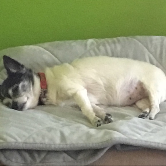 Welcome to My Closet - Picture 3 of 3